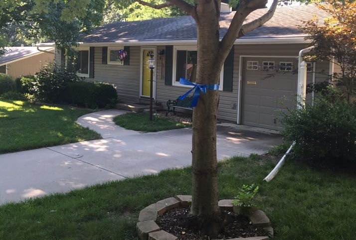 Blue ribbons of support in Prairie Village.