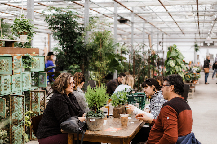 Cafe Equinox
