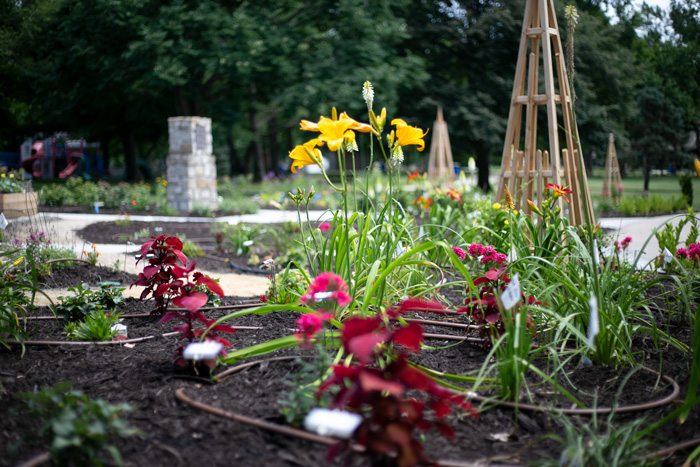 The learning garden in West Flanders Park features a variety of vegetation, including flowers and vegetables, all with a Belgian theme in honor of West Flanders, Shawnee's sister city in Belgium.
