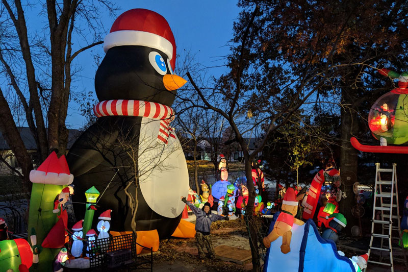inflatables at Paulie's Penguin Playground