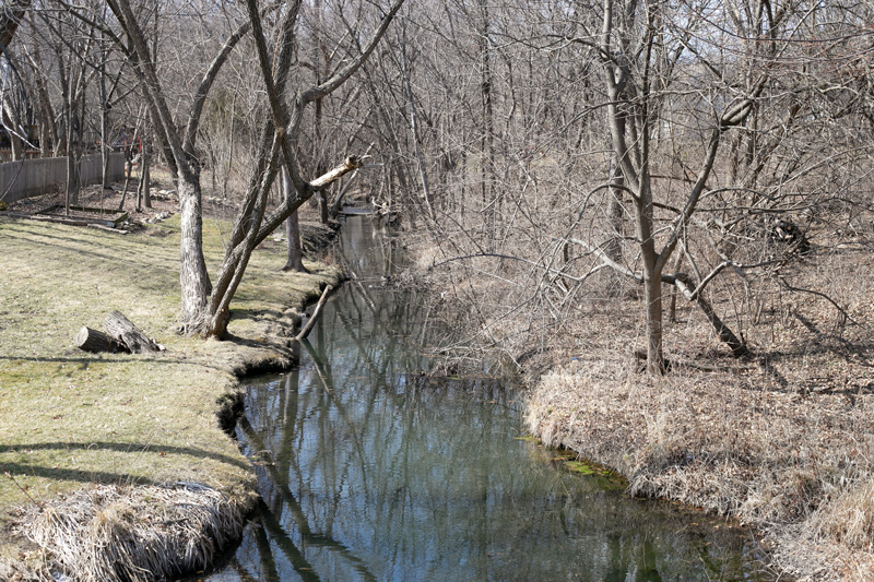 Negro Creek