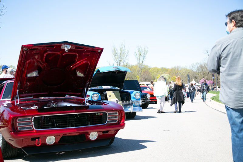 Meadowbrook Car Show 