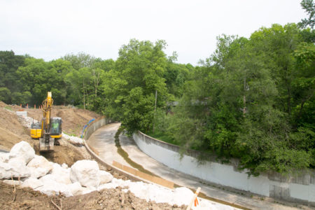 Roe Circle trees removed