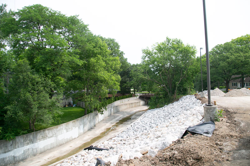 Roe Circle tree removal
