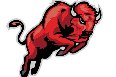 Shawnee Mission North's Bison logo