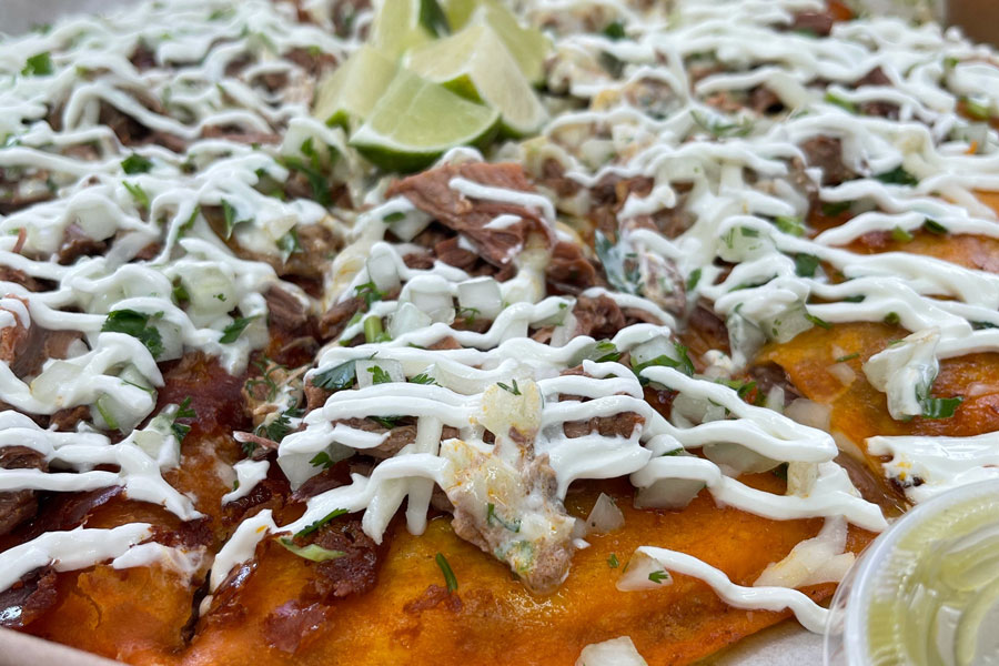 Pizza birria