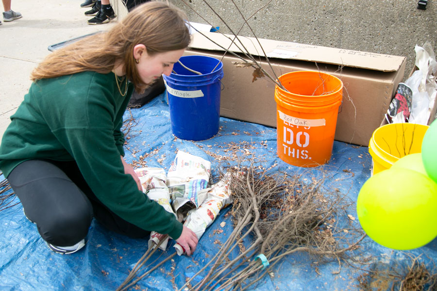 Shawnee Mission Northwest tree effort