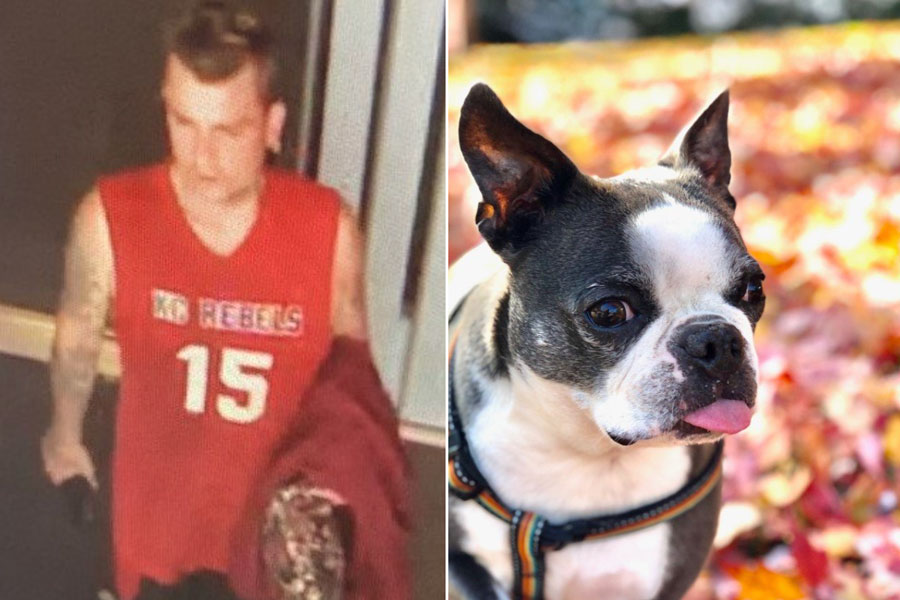 Mission Police seek help in finding dog that was inside stolen car