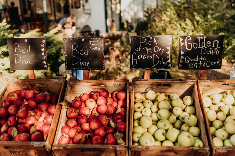 Cider Hill Family Orchard in KCK offers apple picking, a family-friendly fall activity near Johnson County. 