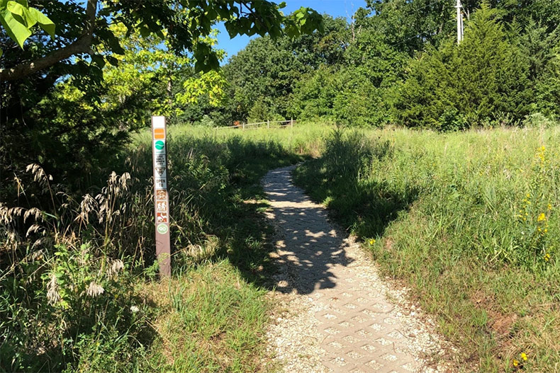 Kirsten Taylor's art installation will be placed along a short stretch of the Orange Loop trail at Shawnee Mission Park. 