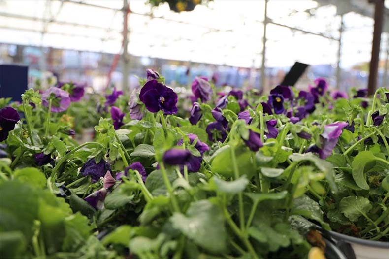 Johnson County cold temps