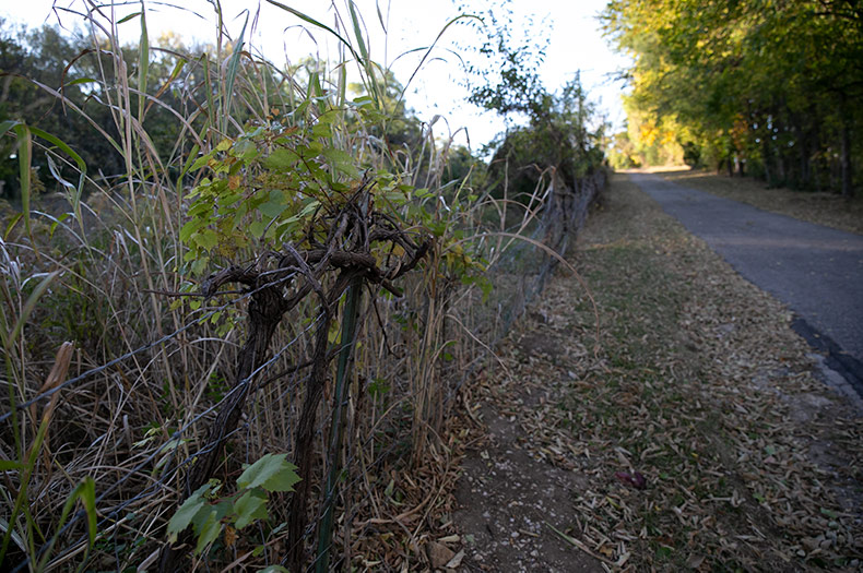 The construction of 80th Street between Monticello Road and Woodland Drive might be the first project in the Shawnee Hickok Zarah conservation TIF district to get the go ahead. It will feed the planned Bristol Highlands neighborhoods and other possible development.