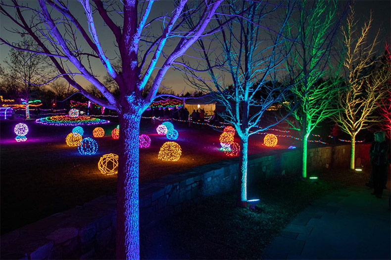 Thanksgiving activities