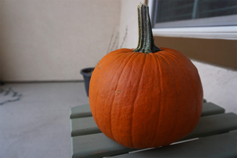 A pumpkin sitting on a patio waiting to be disposed of.
