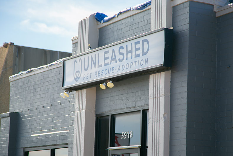 Unleashed Pet Rescue and Adoption in Mission.