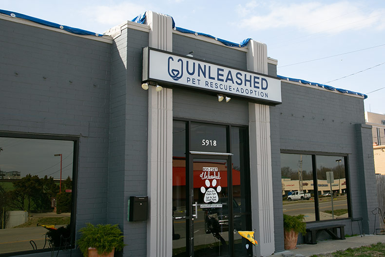 Unleashed, pictured, appeals order to revoke its license.