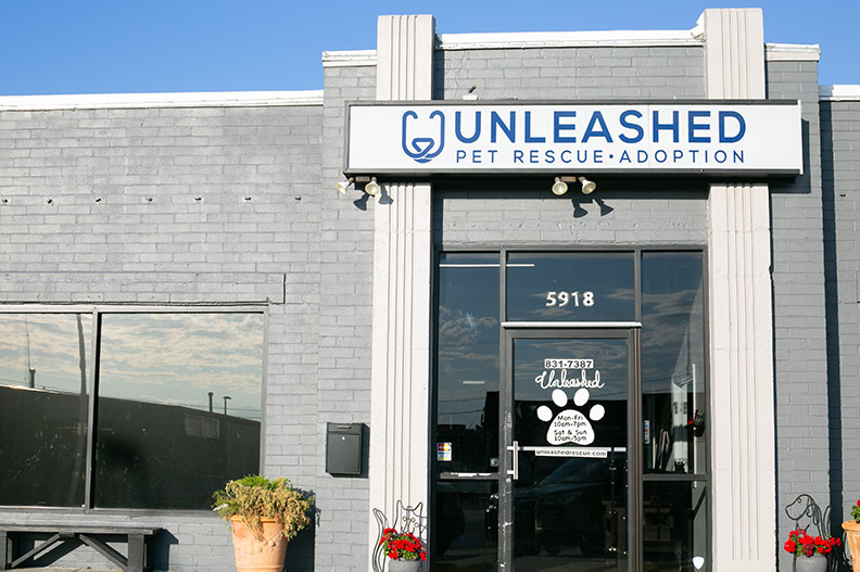 Unleashed Pet Rescue and Adoption in Mission. File photo.