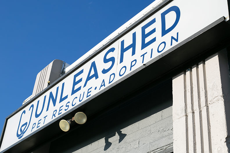 Unleashed Pet Rescue and Adoption in Mission. File photo.