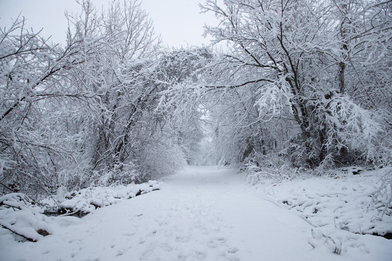 Snow on Indian Creek Trail on Tuesday morning in Overland Park.
