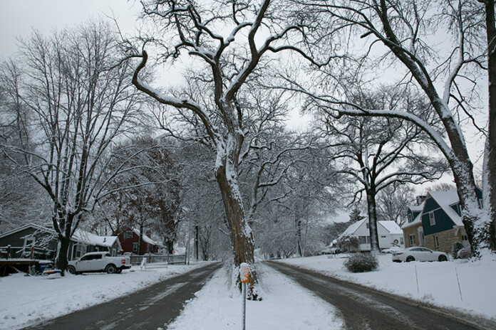 A snowy view of W. 61st Street in Mission, near the city hall building.
