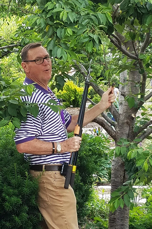 Dennis Patton pruning a tree