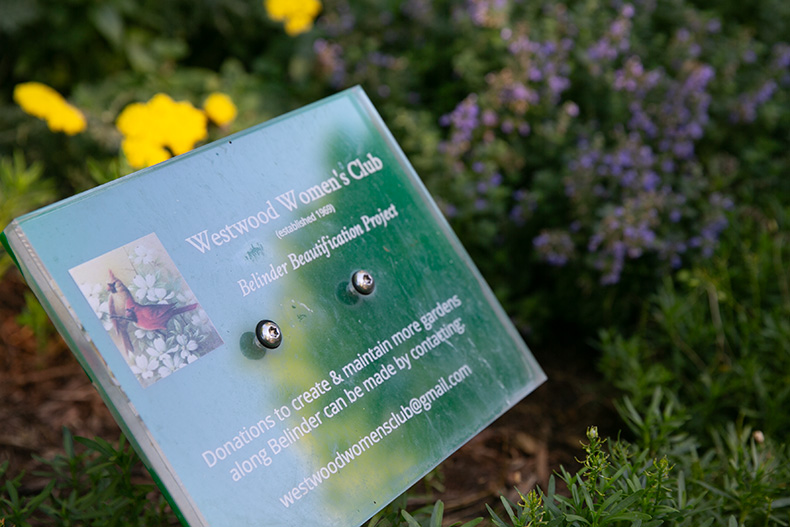 Westwood Women's Club beautification project along Belinder Avenue