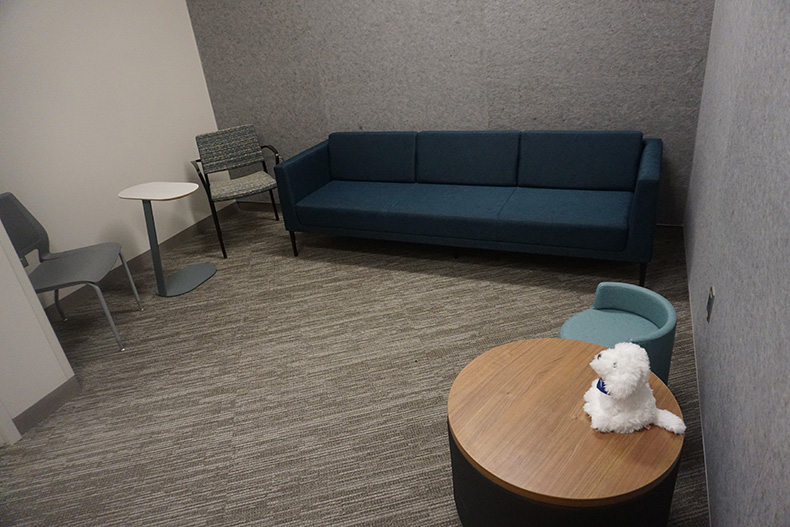 Lenexa Family Interview