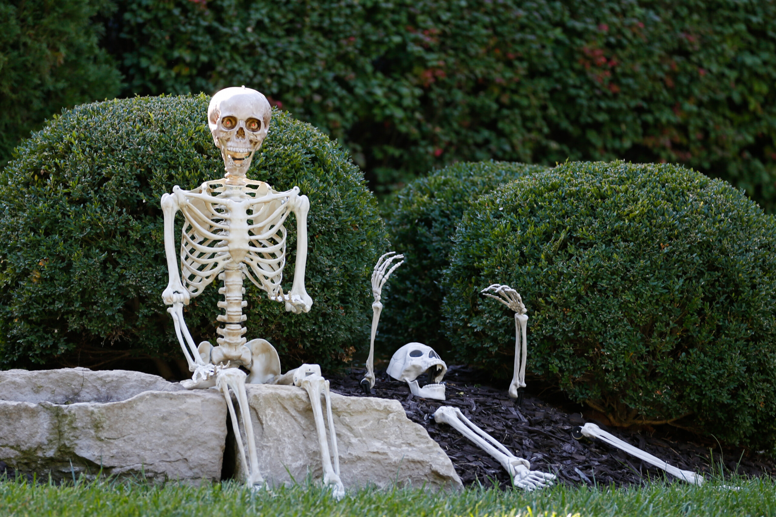 Two skeletons sit outside of a home near the corner of Windsor Drive and Mohawk Road in Overland Park.