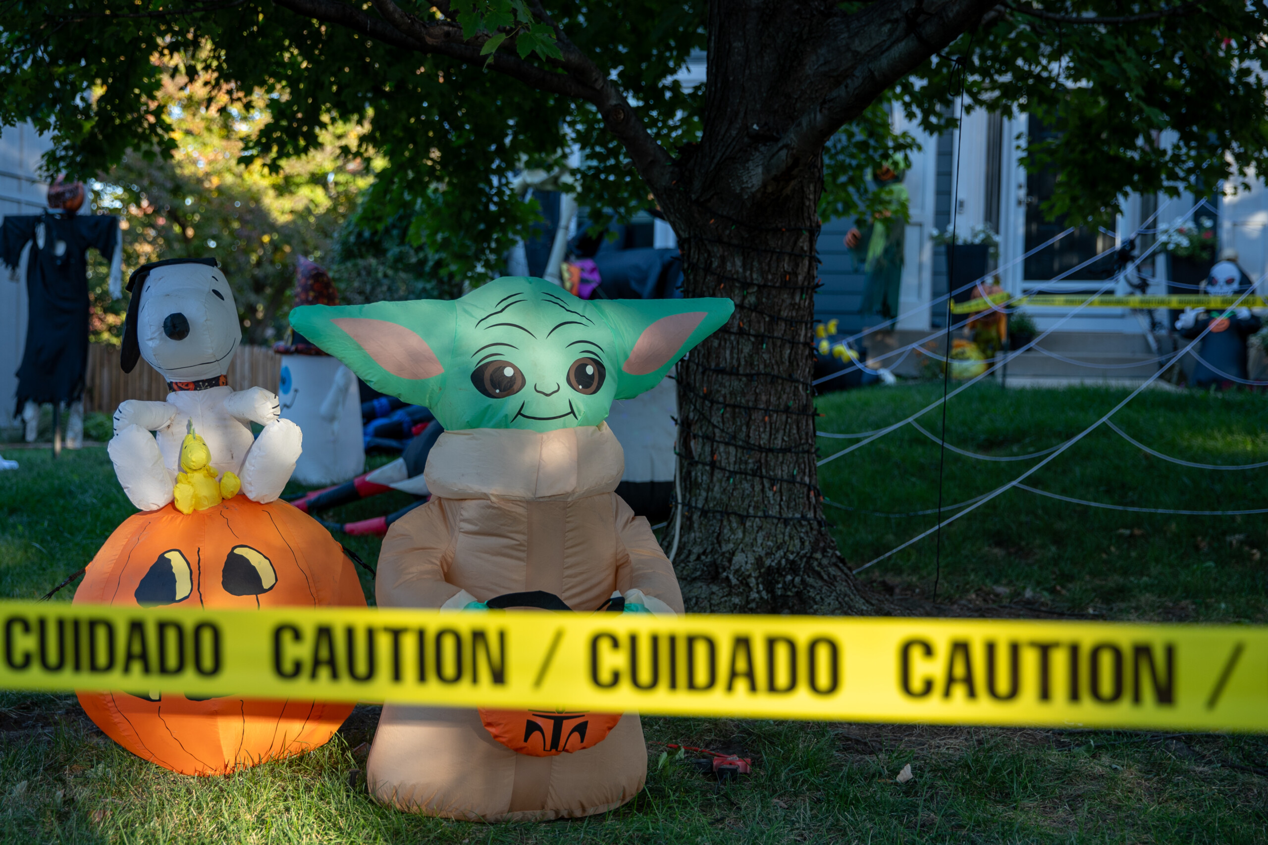 A yard covered in inflatables with a Yoda and Snoopy character outside of a home on South Gallery Street and West 147th Street in Olathe.
