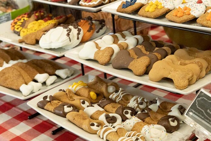 Merriam Treats Unleashed