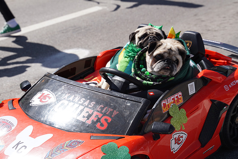 Pugs