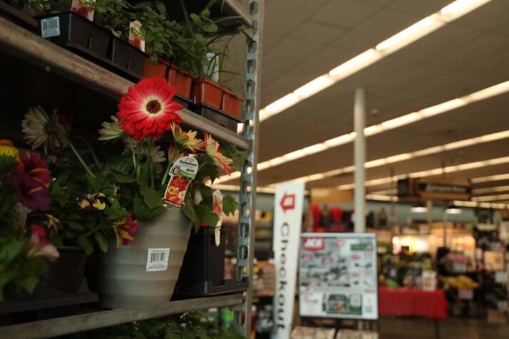 Westlake Ace Hardware