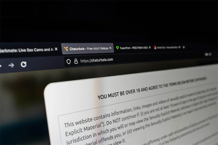 The landing page of an adult website prompts a user to click a button to indicate they are 18 or older. Age verification advocates say this does little to keep minors from accessing pornography online.