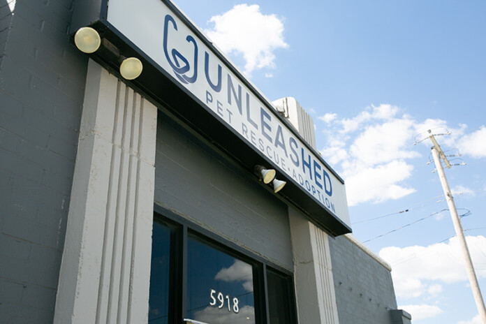 Unleashed Pet Rescue in Mission