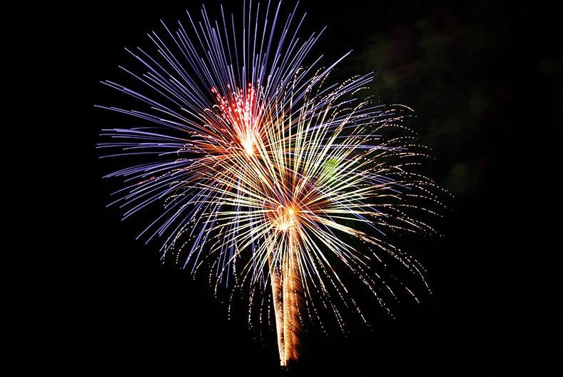 Smoke in the streets, litter in yards, stress on vets and pets — Shawnee has had enough of fireworks