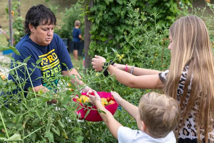 Cathy Hammack Helping Hands