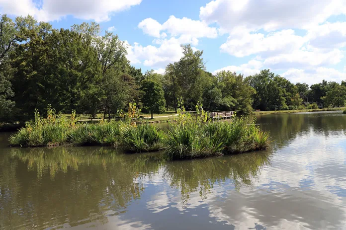 Floating wetlands in Overland Park's South Lake Park.