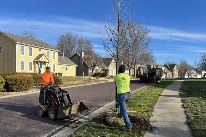 Contractors plant new trees along the street in Overland Park's Highcroft neighborhood in late 2023.