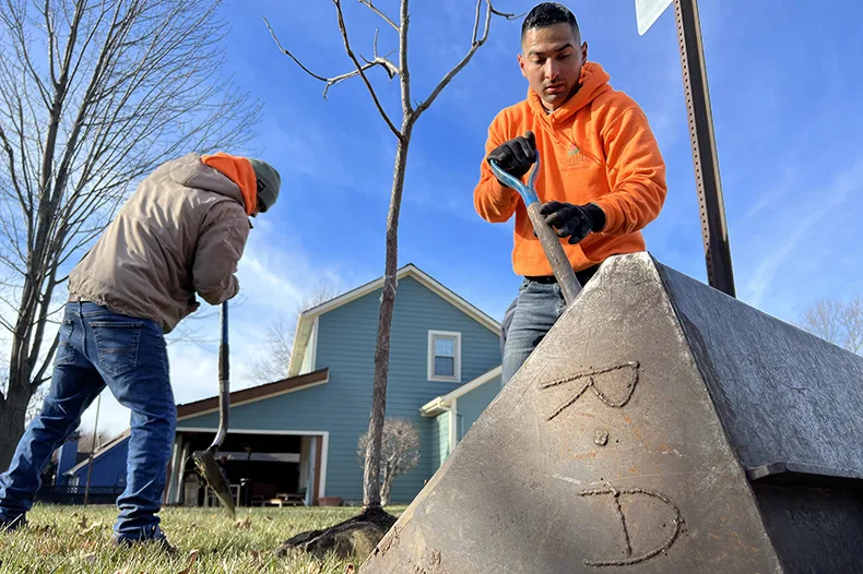 Contractors plant new trees along the street in Overland Park's Highcroft neighborhood in late 2023.