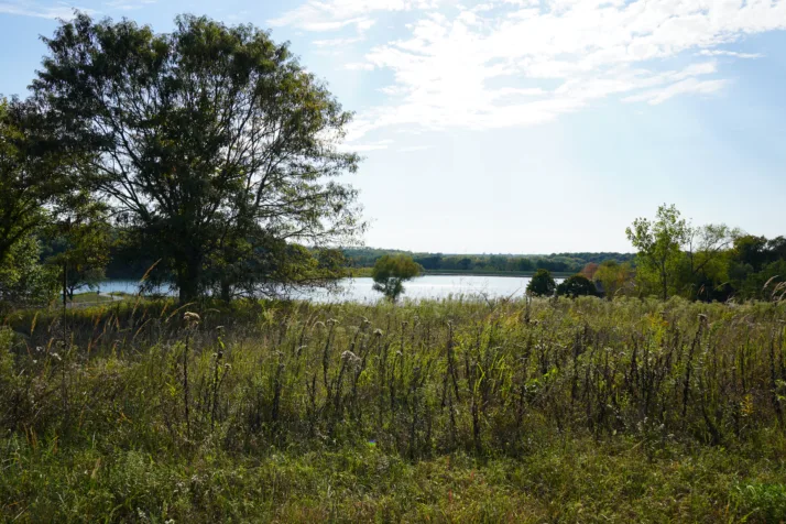 Grassland, trees, and lake at Kill Creek Park
