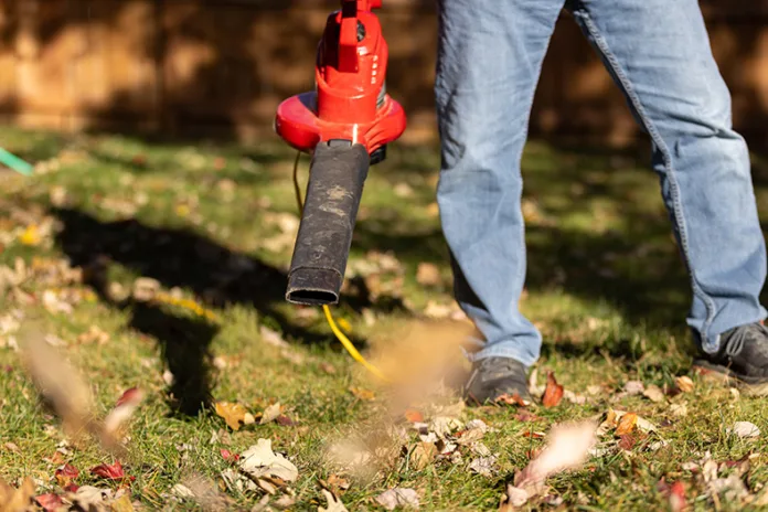 Leaf blower