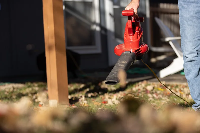 Leaf blower