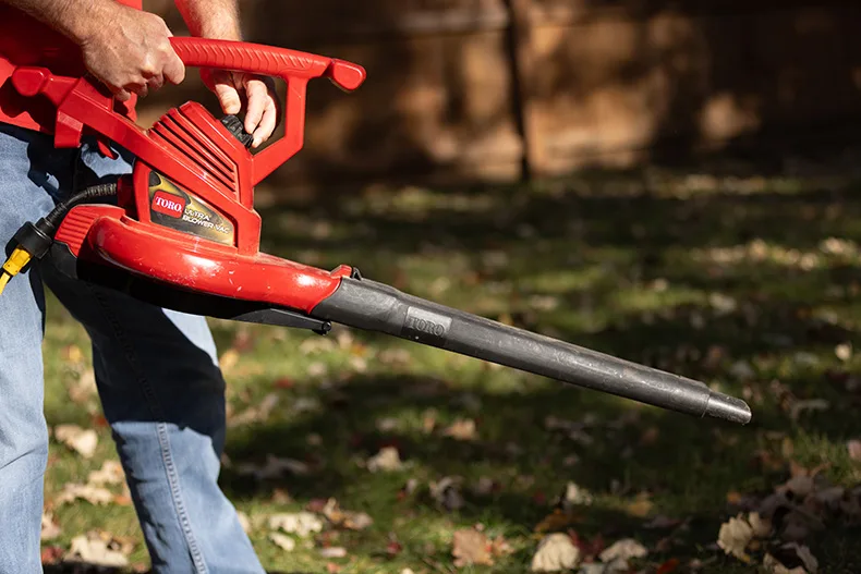 Leaf blower