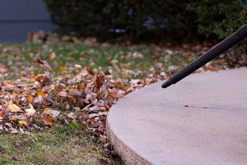 Leaf blower