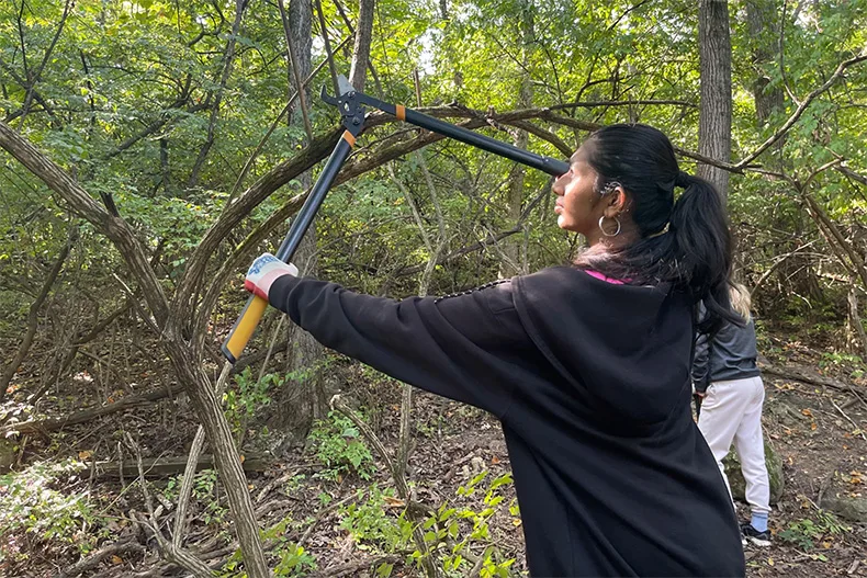 In September, Girl Scouts helped Heartland Conservation Alliance to restore wooded areas at Heartland Overlook Preserve by removing invasive bush honeysuckle. This species smothers native plants that are vital to a healthy Blue River ecosystem.