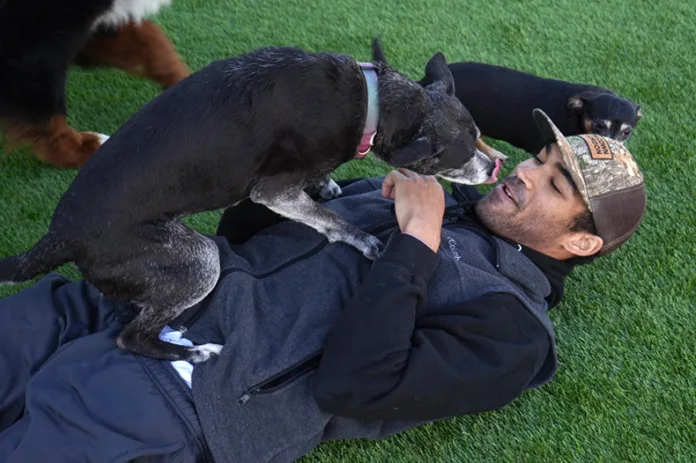 While playing with the animals, Mellow Fellow owner Jared Hoston was cuddled by one of the dogs.