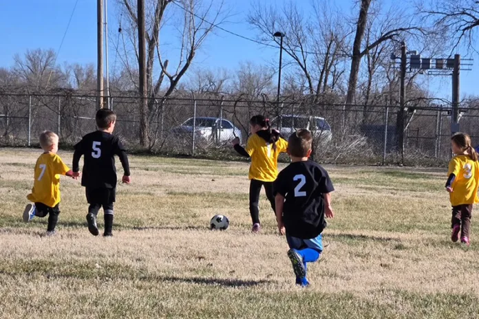 De Soto youth soccer league