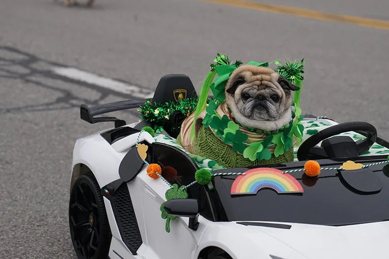Pug parade