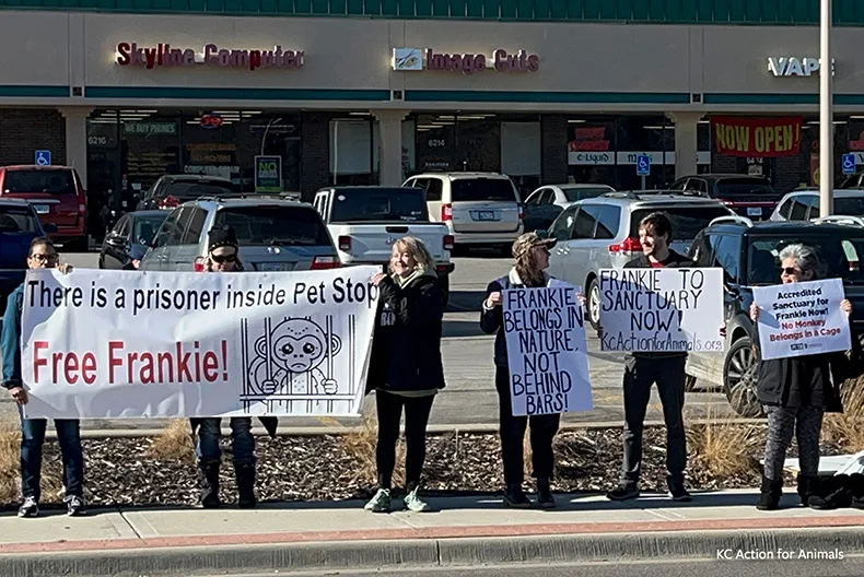 Protestors outside the Pet Stop