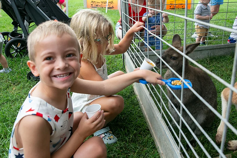 A young boy feeds a kangaroo at the petting zoo, also one of the numerous free offerings at VillageFest. Photo credit Juliana Garcia. 
